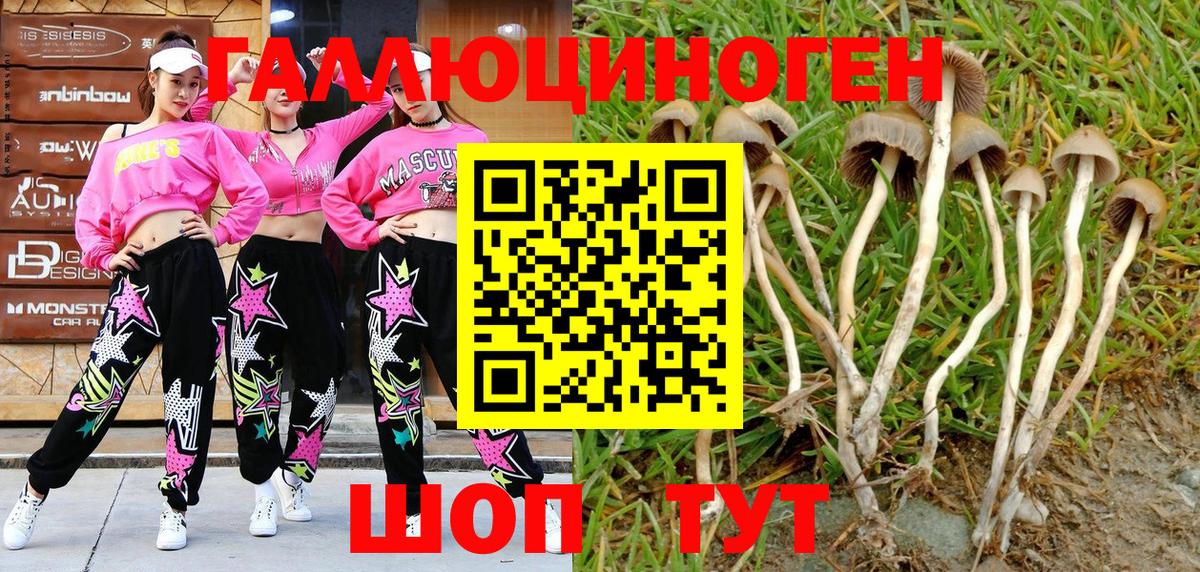Псилоцибиновые грибы мицелий Каменка