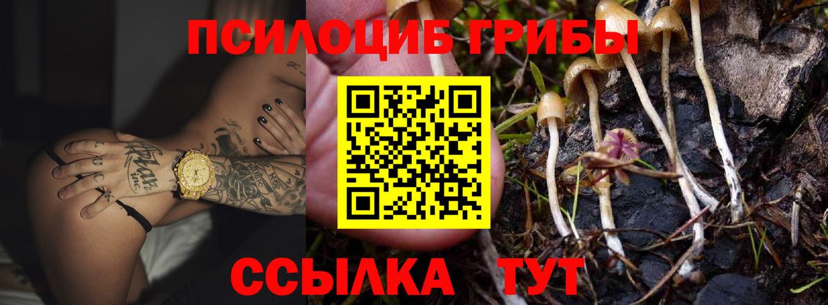 Галлюциногенные грибы ЛСД  Вход с VPN  Каменка 